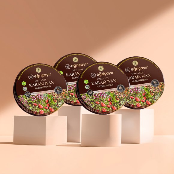 Karakovan Petek Bal, Organik Sertifikalı TA16+