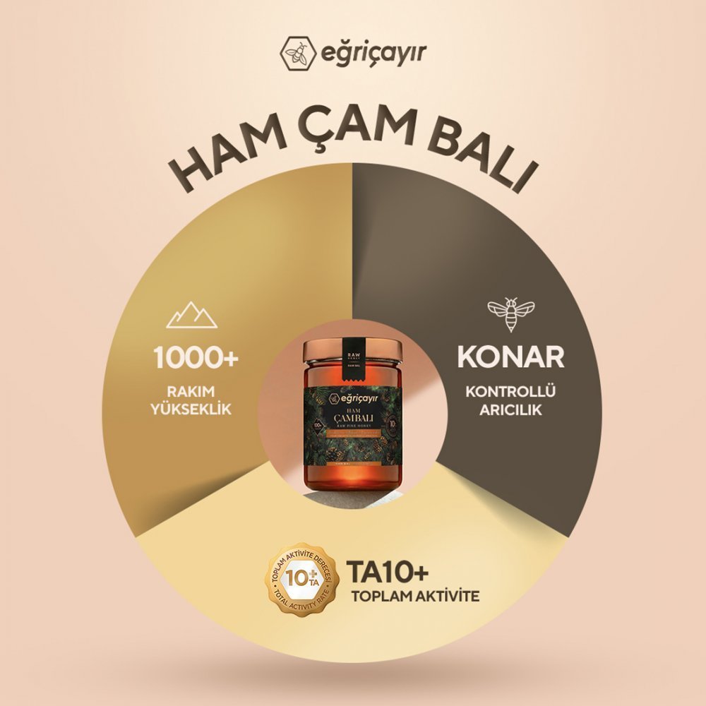 Ham Çam Balı TA10+