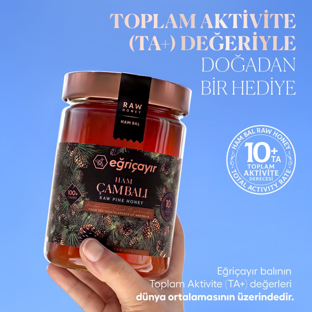 Ham Çam Balı TA10+